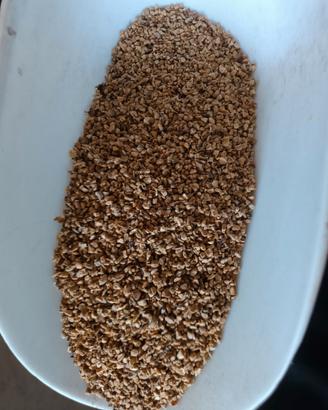 Nocciolino di olive per caldaie biomassa