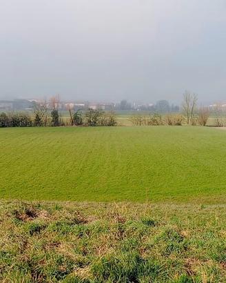 Terreno per attività
