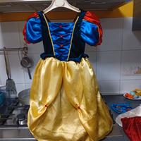 Vestito carnevale duplefax