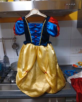 Vestito carnevale duplefax