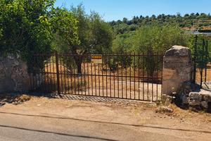 Terreno  1 ha con fabbricato uso deposito 40 mq