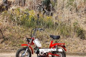 Benelli 50 Motorella
