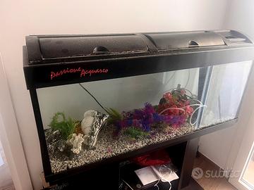 Acquario