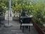 Immagine 13
