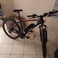 Bicicletta elettrica