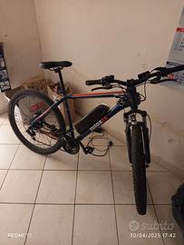 Bicicletta elettrica