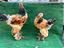 Immagine 2