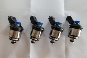 iniettori tappo blu landi