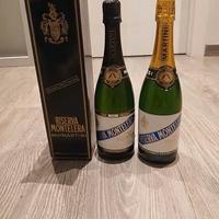 Bottiglie vino Barolo, Berlucchi, Boca, Champagne