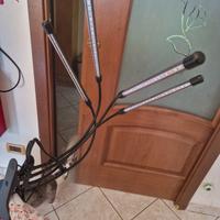 Lampada per piante