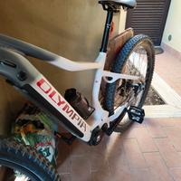 Olympia Performer 900 sport