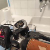 bicicletta elettrica 