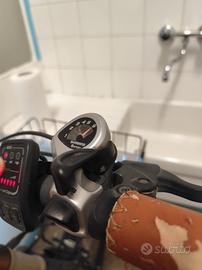 bicicletta elettrica 