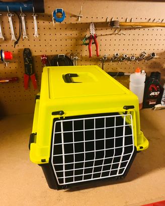 Trasportino e lettiera per gatto