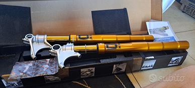 Forcella Ohlins R&T + mono TTXGP Ohlins Ducati V4