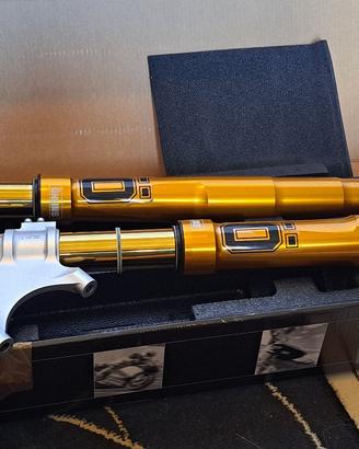 Forcella Ohlins R&T + mono TTXGP Ohlins Ducati V4