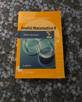 Analisi matematica 2 Canuto-Tabacco