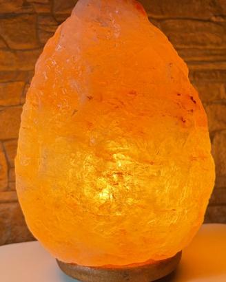 Lampada Sale Himalaya kg. 5,8