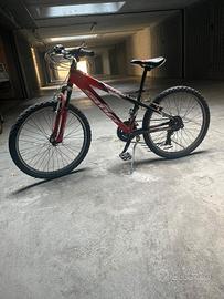 bici da ragazzo