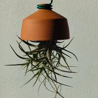 Tillandsie sospese con campana in terracotta