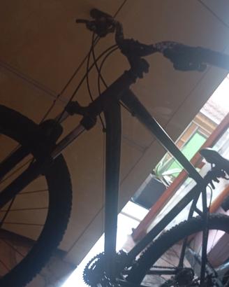 Bici xc3