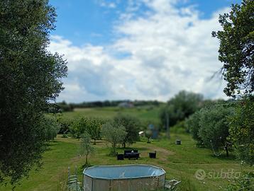 Terreno per compleanni /feste a Civitanova Marche