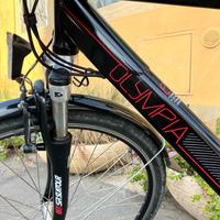 2 e.bike Olympia Energo