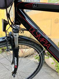 2 e.bike Olympia Energo