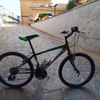 bicicletta