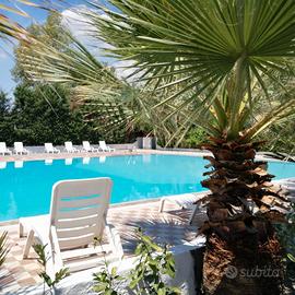 Case vacanze a 7km da Scalea