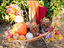 Immagine 4