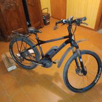 Bicicletta pedalata assistita