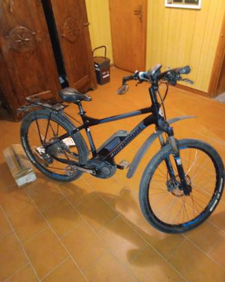 Bicicletta pedalata assistita