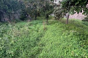 Terreno edificabile 1000mq a Giarre