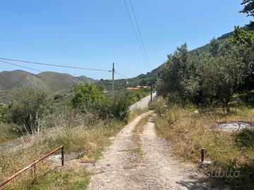 Terreno agricolo ad Altofonte