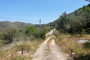 Terreno agricolo ad Altofonte