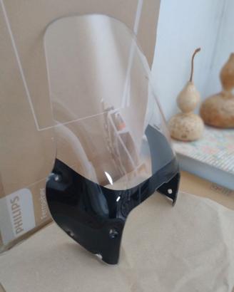 Cupolino BMW R1100 GS