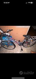 Bicicletta atala boston