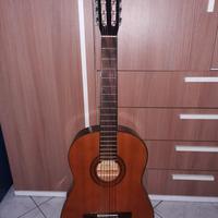 Chitarra acustica Stonehenge + custodia antiurto 