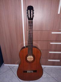 Chitarra acustica Stonehenge + custodia antiurto 