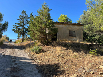 Costa cilentana-acciaroli pollica