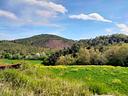area-verde-a-amelia