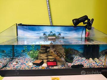 acquario +tartaruga 