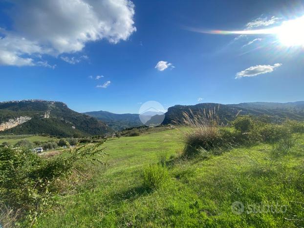 TER. AGRICOLO A TRENTINARA