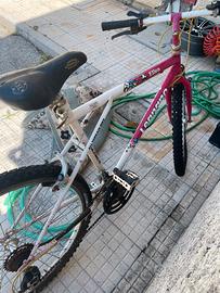Bicicletta