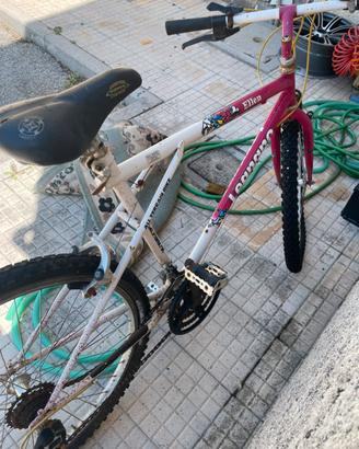 Bicicletta