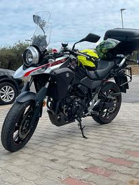 SUZUKI V STROM 250