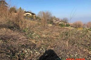 Immobile in asta di 1436 m² a Gazzola