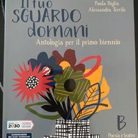 Il tuo sguardo domani