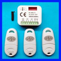 N.3 Telecomandi Came + Ricevitore 2 CH universale